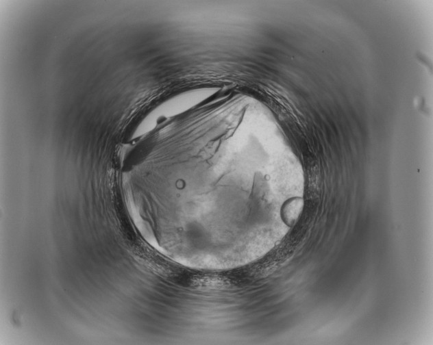 X0000097830503200804111043