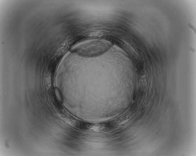 X0000097830504200804111043