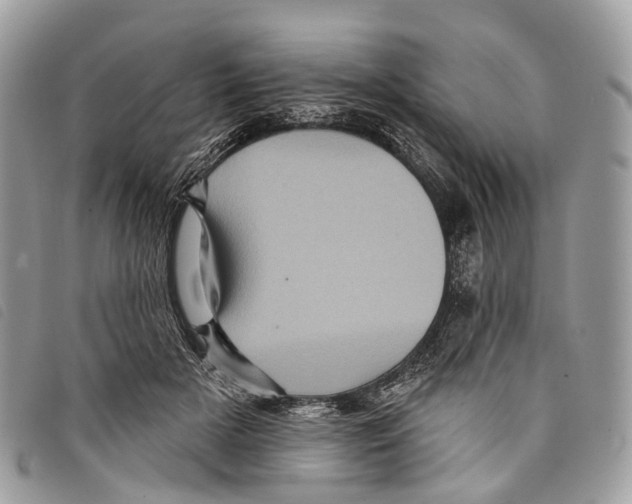 X0000097830505200804111043