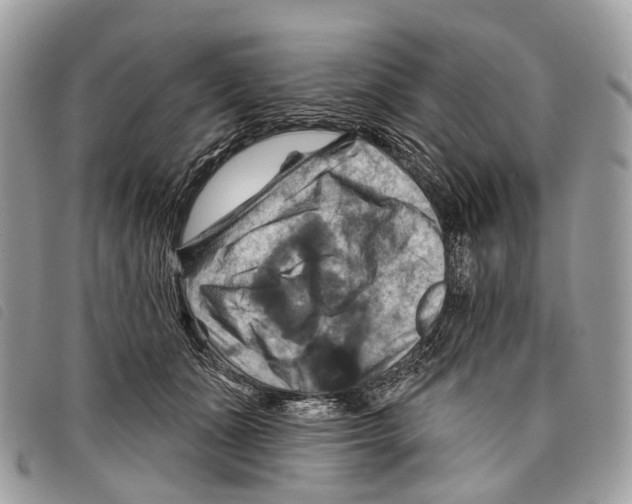 X0000097830511200804111043