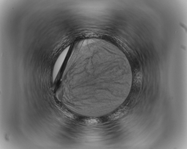 X0000097830513200804111043