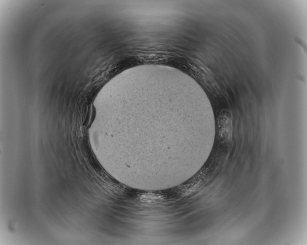 X0000097830515200804111042