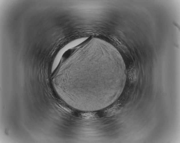 X0000097830516200804111042