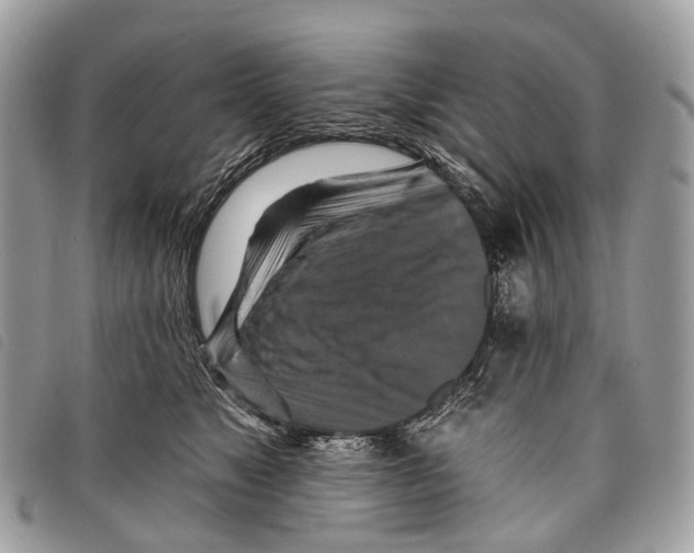 X0000097830517200804111042