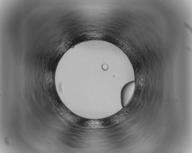 X0000097830518200804111042