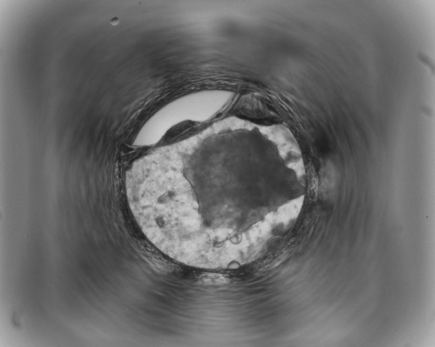 X0000097830519200804111042