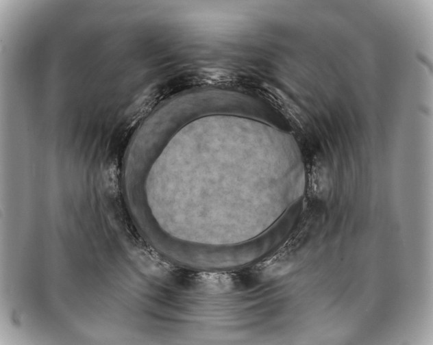 X0000097830520200804111042