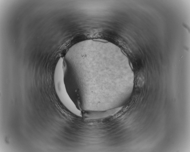 X0000097830521200804111042