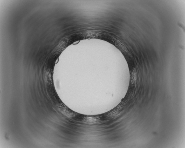 X0000097830522200804111042