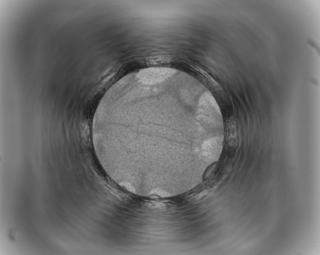 X0000097830523200804111042