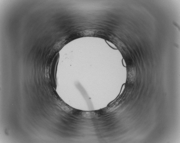 X0000097830525200804111042