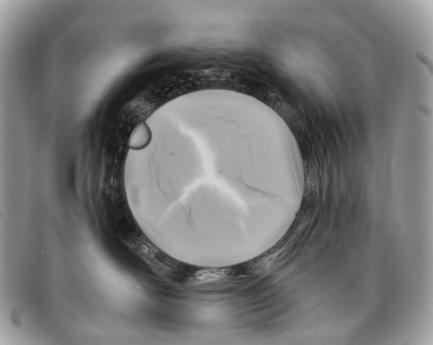 X0000097830526200804111042