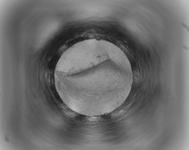 X0000097830527200804111042