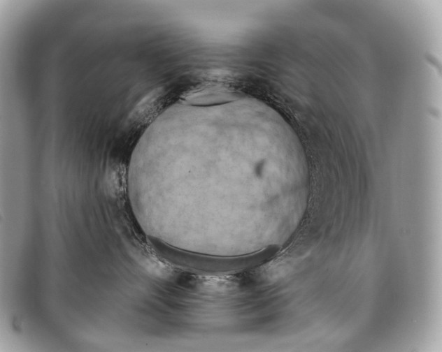 X0000097830528200804111042