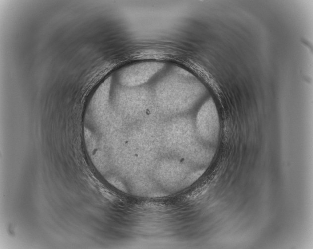 X0000097830529200804111041