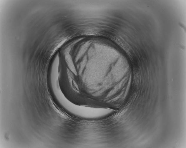 X0000097830530200804111041