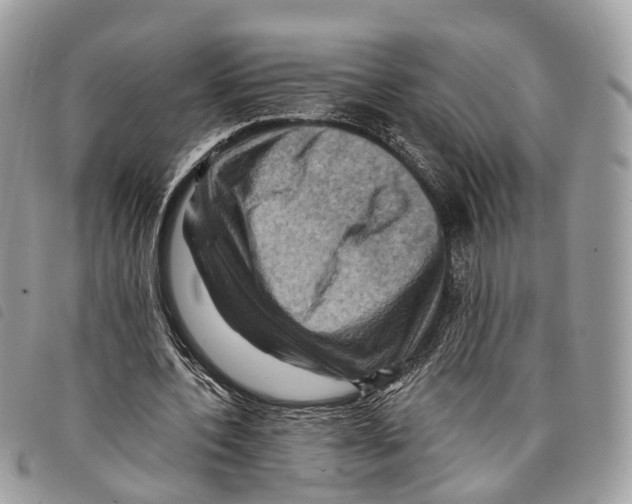 X0000097830532200804111041