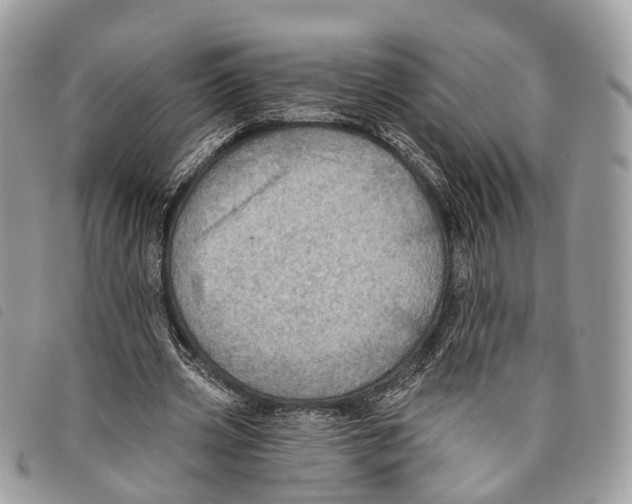 X0000097830533200804111041