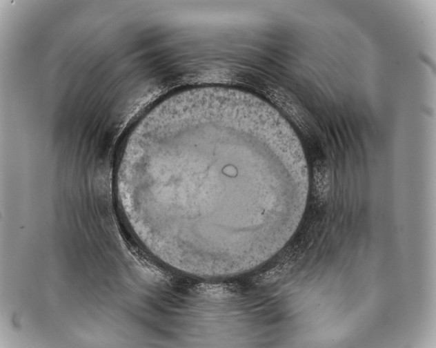 X0000097830534200804111041