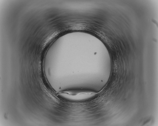 X0000097830535200804111041