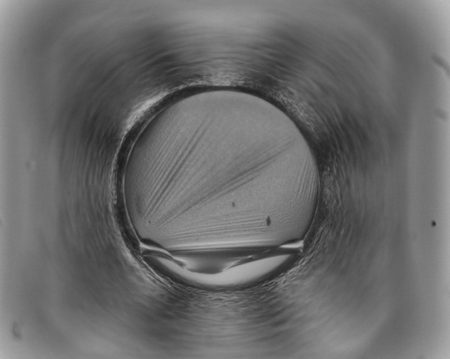 X0000097830536200804111041