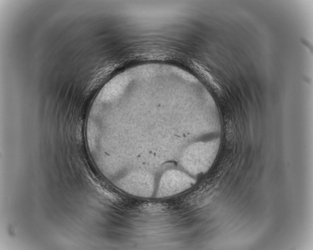 X0000097830537200804111041