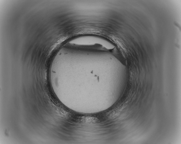 X0000097830539200804111041