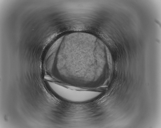 X0000097830540200804111041