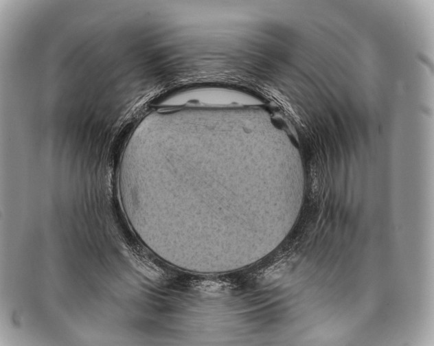 X0000097830542200804111041