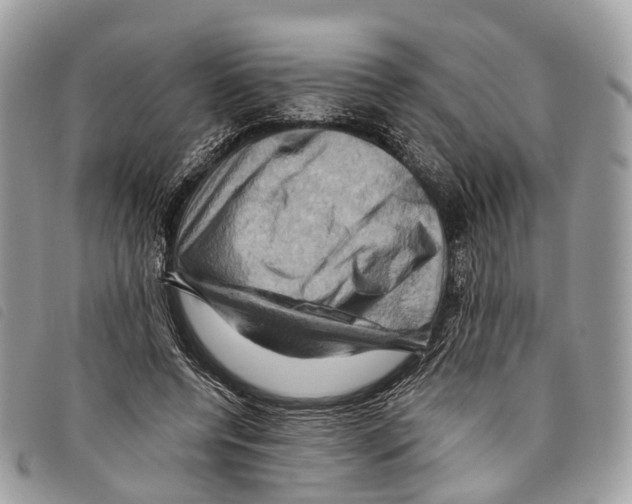 X0000097830544200804111042