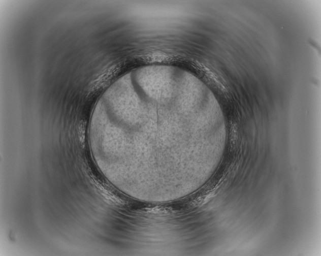 X0000097830545200804111042