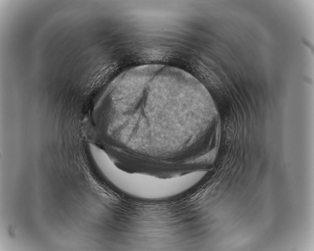 X0000097830546200804111042