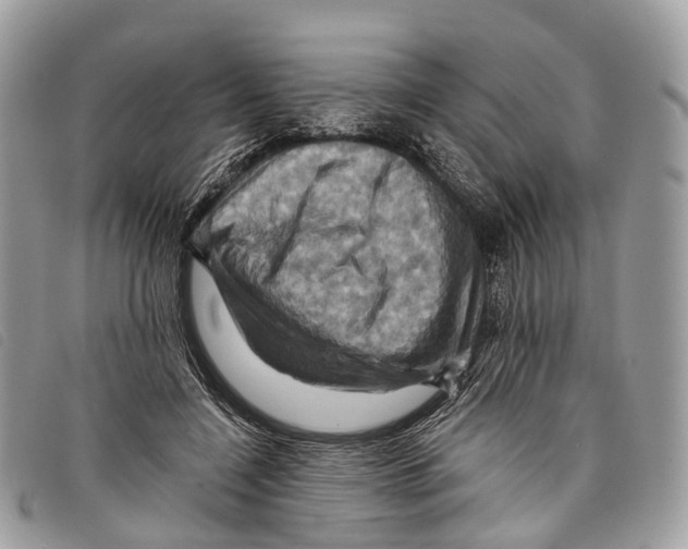 X0000097830548200804111042