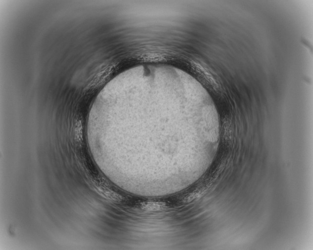 X0000097830549200804111042