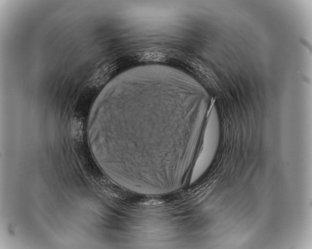 X0000097830551200804111042