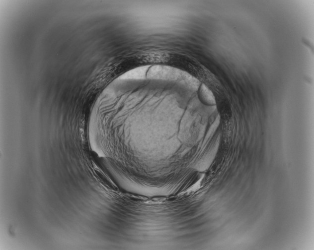 X0000097830553200804111042