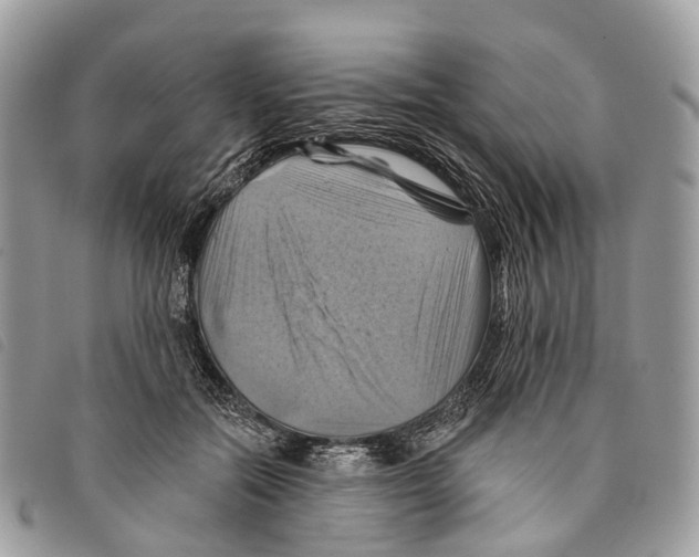 X0000097830554200804111042