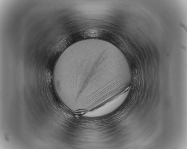 X0000097830555200804111042