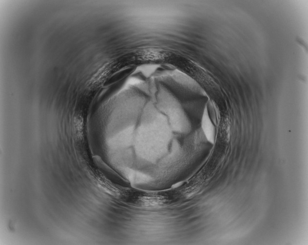 X0000097830556200804111042