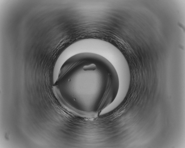 X0000097830558200804111042