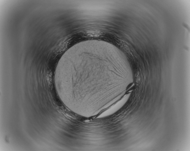 X0000097830559200804111042