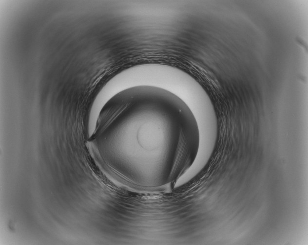 X0000097830560200804111042