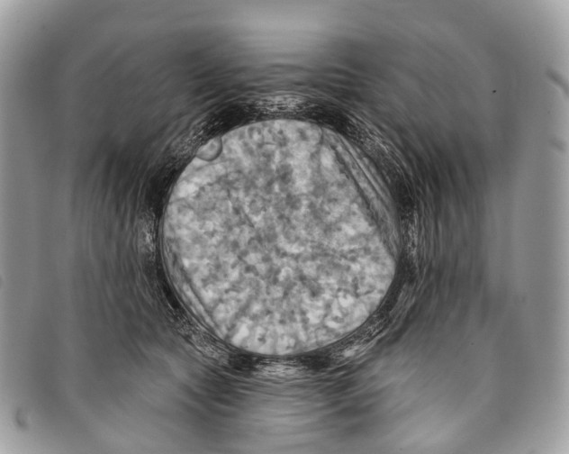 X0000097830561200804111042