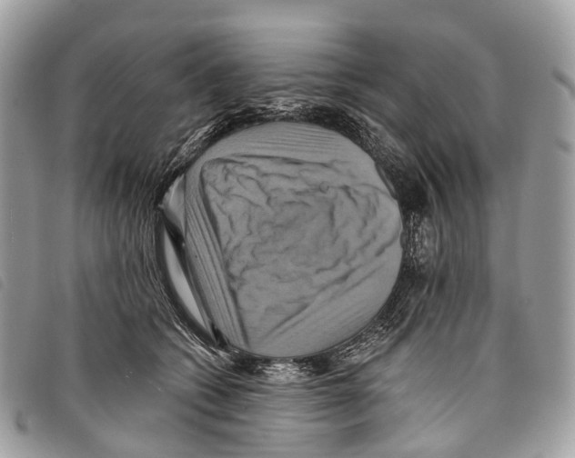 X0000097830562200804111042