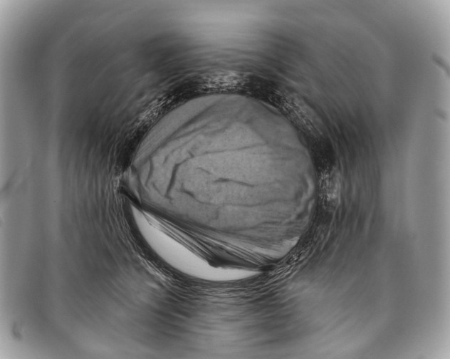 X0000097830564200804111042