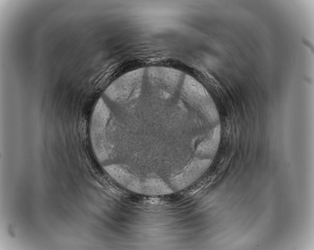 X0000097830565200804111042