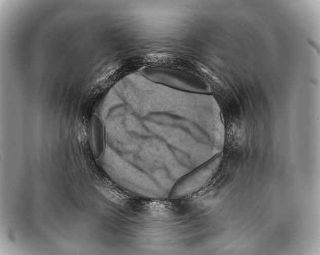 X0000097830566200804111042