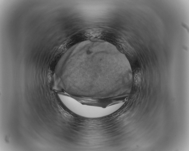 X0000097830570200804111042