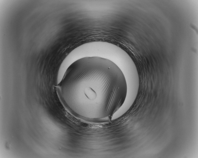 X0000097830572200804111042