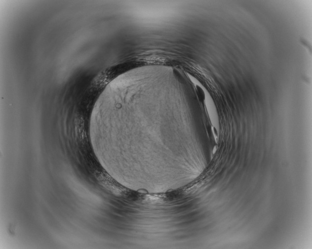 X0000097830573200804111042